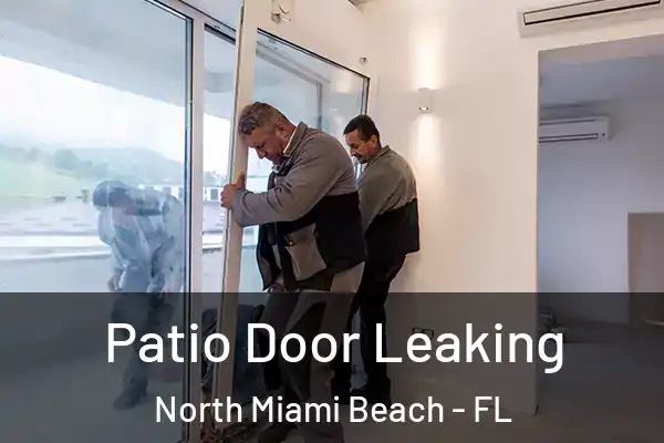 Patio Door Leaking North Miami Beach - FL